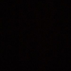 Meet your Posher, Darius